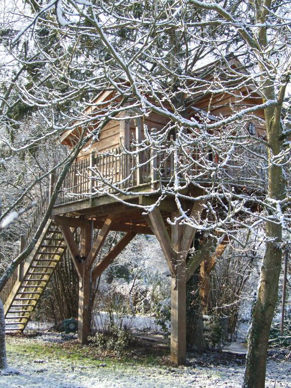 Chambres D'Hotes De La Vallee Javot Féricy Dış mekan fotoğraf